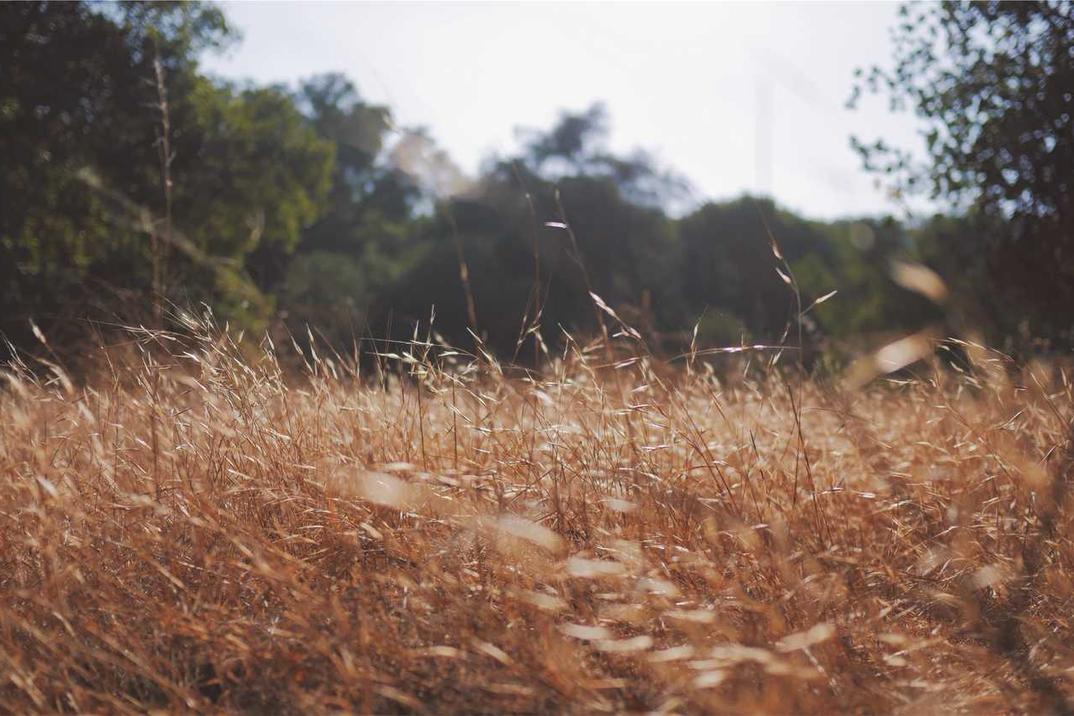 Ab minus maiores ducimus corporis sit