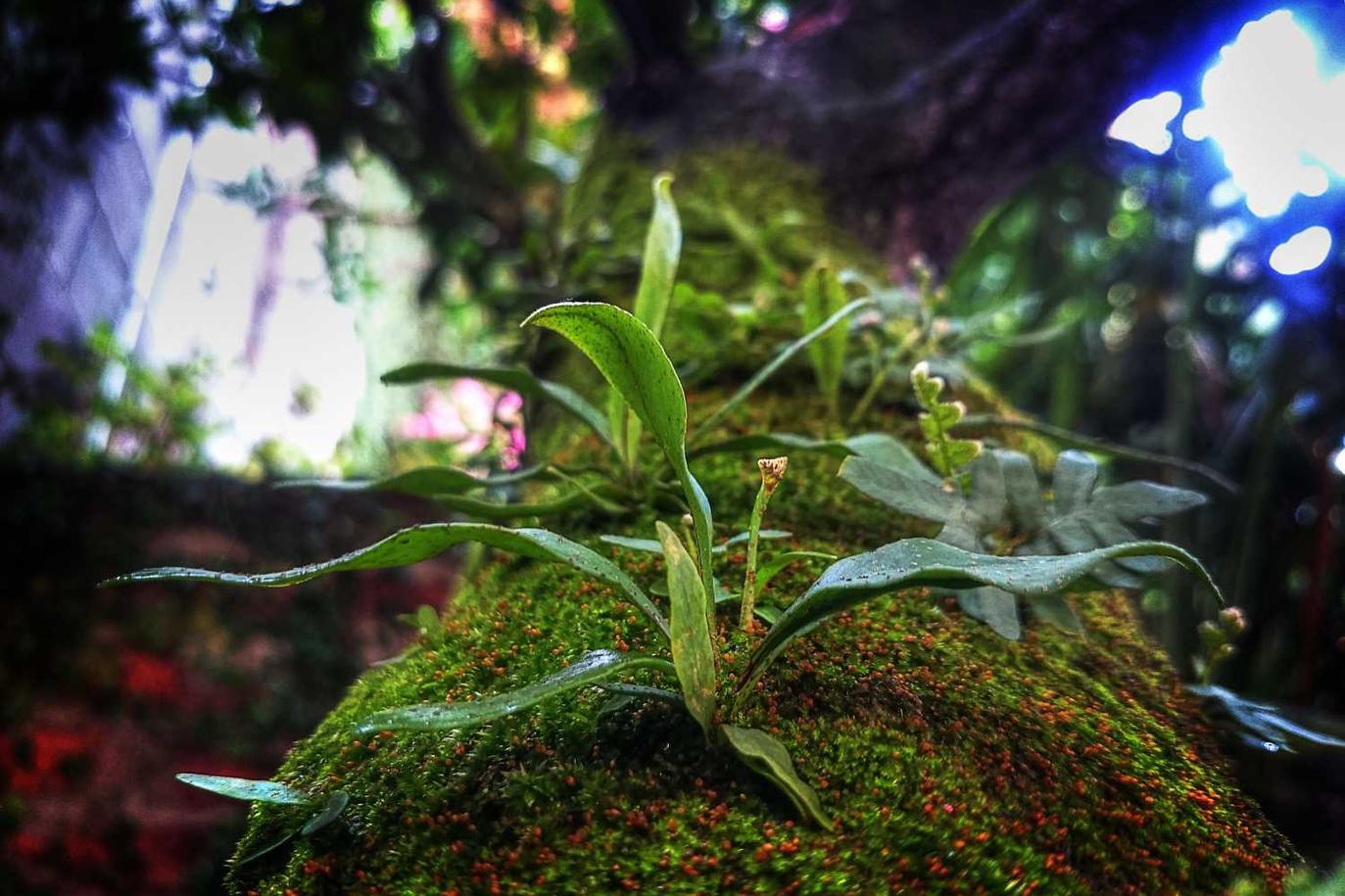 A occaecati debitis eligendi